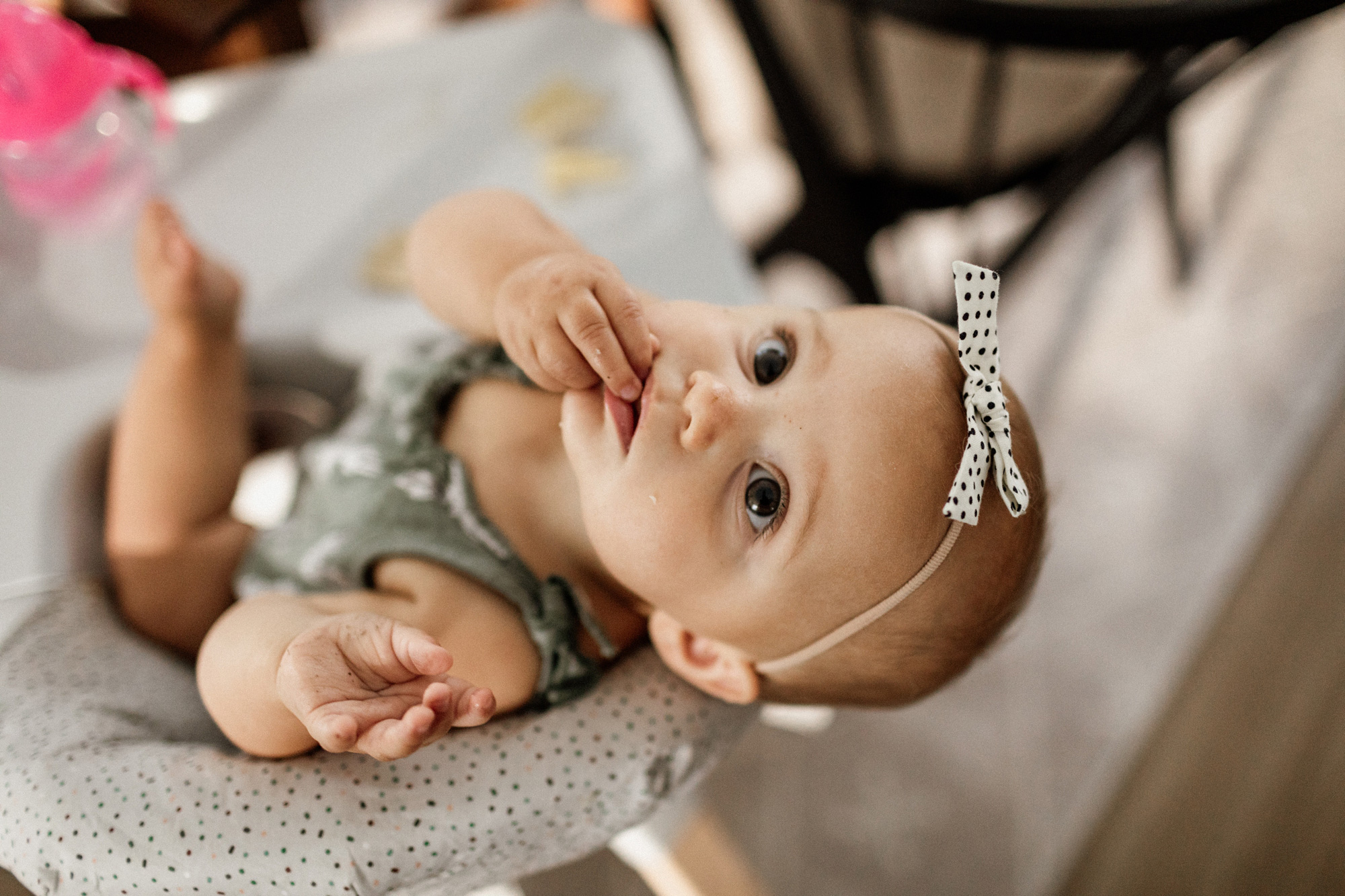 Charleston Family Photographer