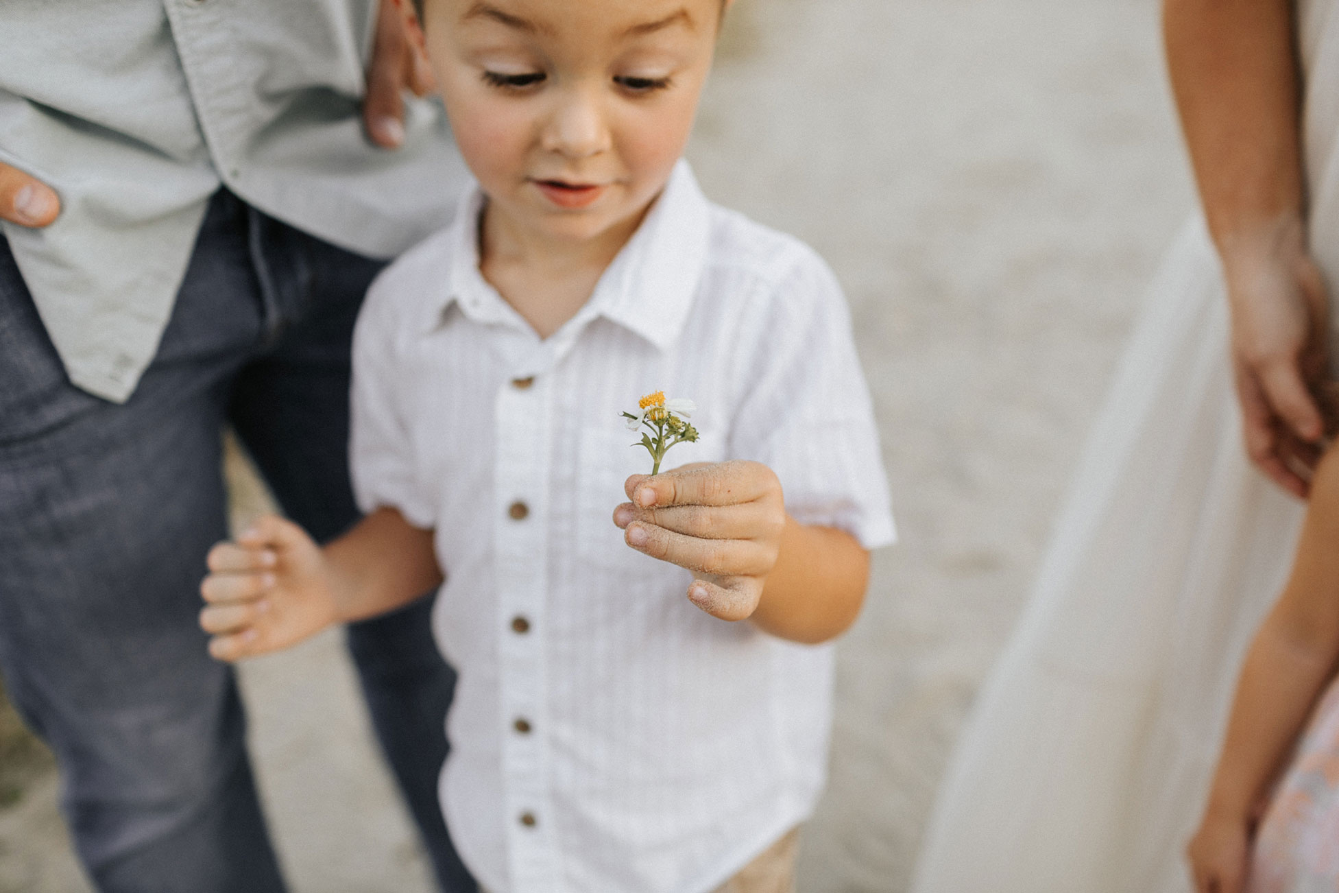 Charleston Family Photos & Film
