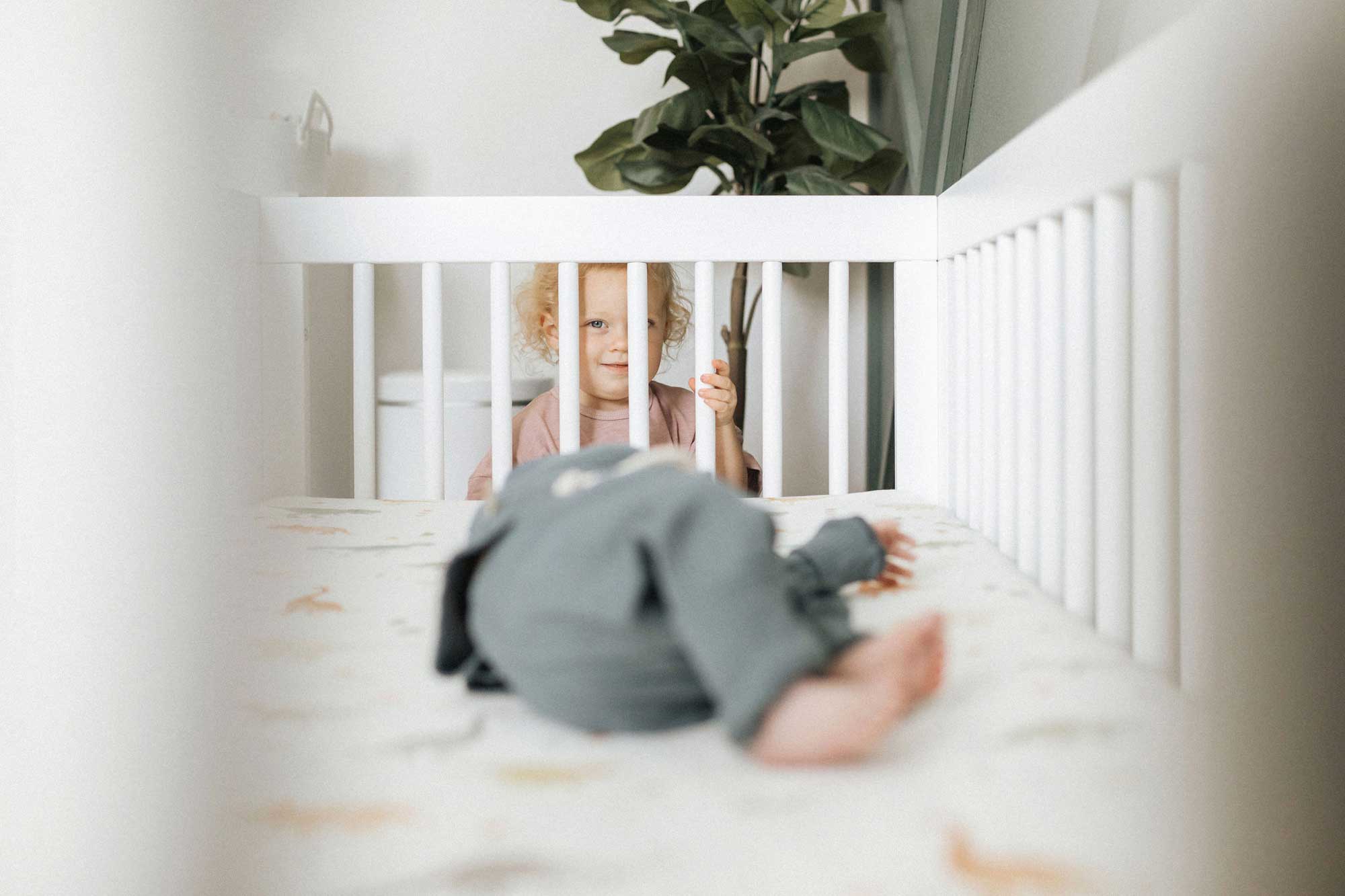 Tampa family photographer and videographer